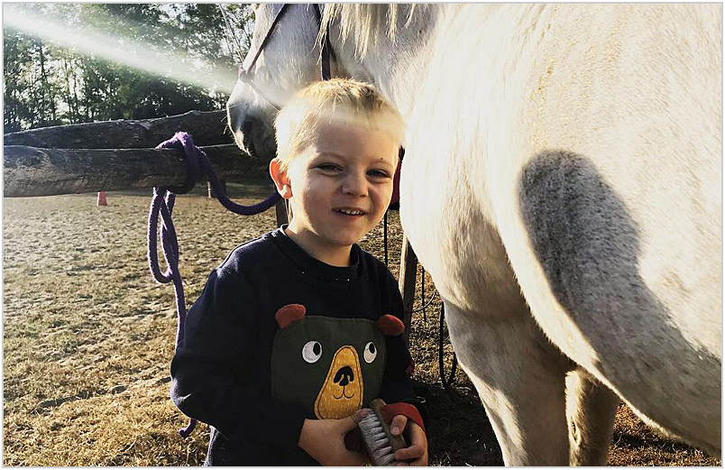 Our boys adore horses.